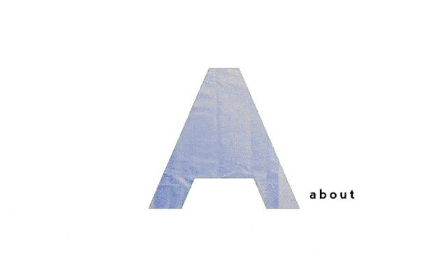 The Saudi Desert Riders